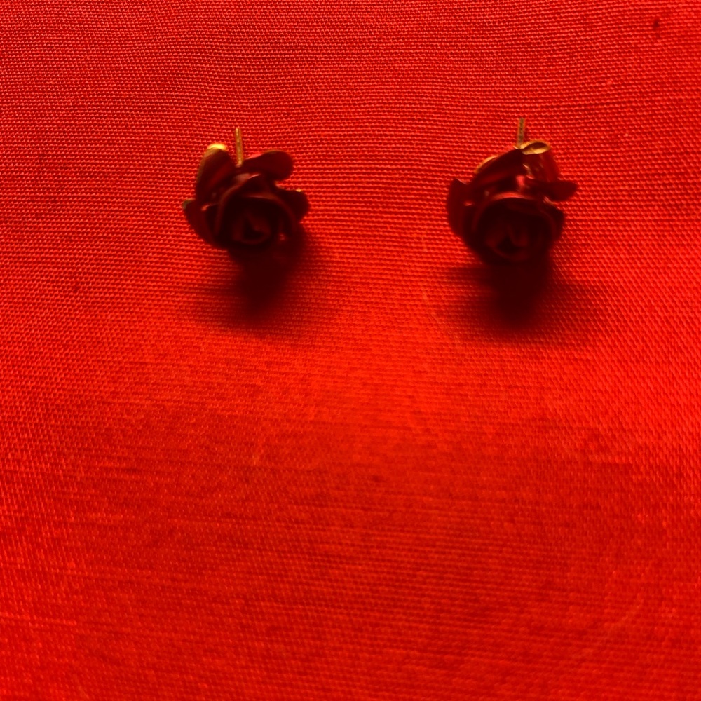 Pierced earrings